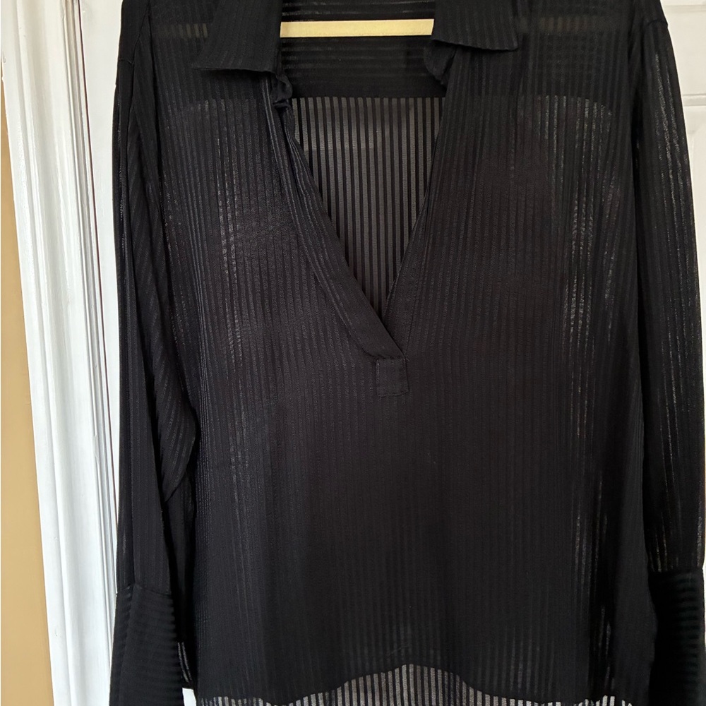 Zara Black Sheer V-Neck Long Sleeve Blouse